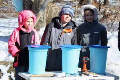 Fourth-graders set to tap the first official maple tree