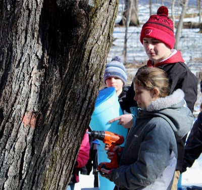 Tapping the tree